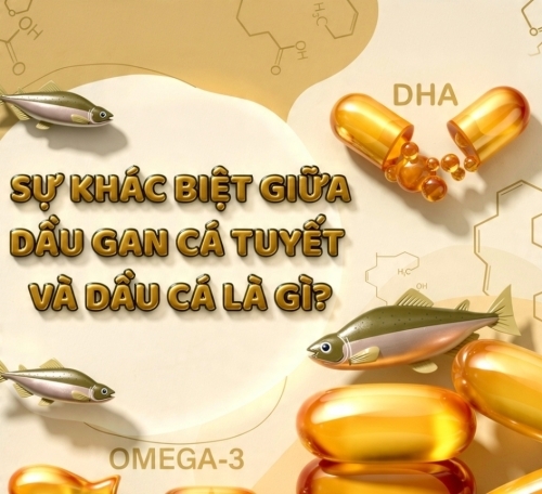 🐟 Omega-3 vs Dầu cá vs Dầu gan cá tuyết: Khác nhau thế nào? Nên chọn loại nào?